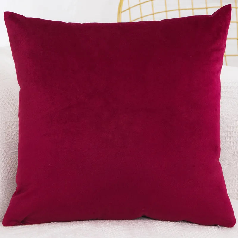 Velvet Throw Pillow Cover Decorative Square Cushion Case for Sofa Bedroom 40x40/45x45/50x50/30x50/55x55/60x60cm Pillowcase