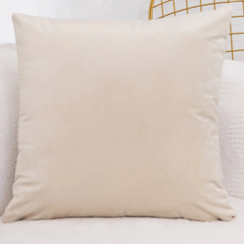 Velvet Throw Pillow Cover Decorative Square Cushion Case for Sofa Bedroom 40x40/45x45/50x50/30x50/55x55/60x60cm Pillowcase